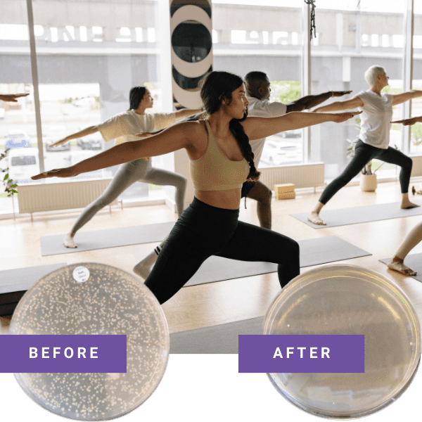 Yoga class in place with Petri dishes showing difference in yoga mat cleanliness before and after Aura™ use